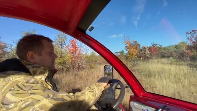 Как и когда будут ЗАВОДИТЬ ЛЬВОВ в зимние вольеры? смотреть онлайн