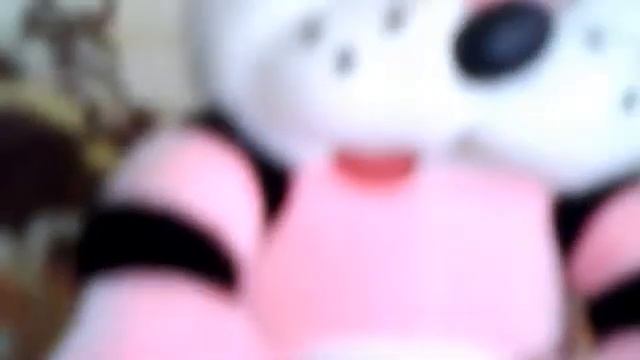 Бобер обиделся на кота и плачет! Кот негодяй, но смешно! смотреть онлайн