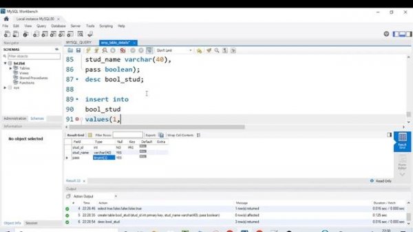 How to use Boolean(TRUE/FALSE OR 0/1) in MySQL Workbench 8.0.30