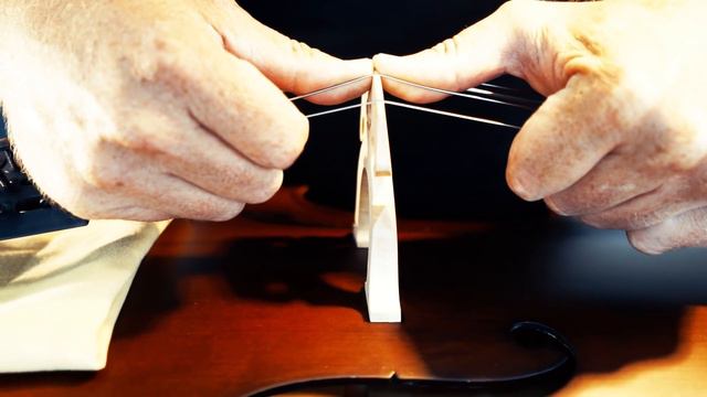 How To Set Up A Bridge on Violin, Cello or Double Bass | In 30 Seconds Or Less | Tutorial | Thomann смотреть онлайн