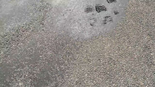 Вот так вот !!Ни дня без серебра !!! Кройсбург рулит!! Калининград !! смотреть онлайн