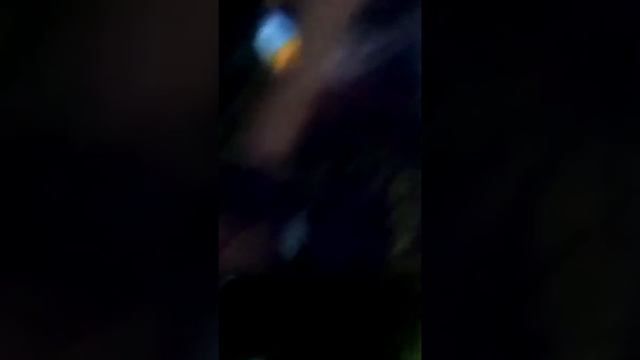 1 часть я в Москвариуме . смотреть онлайн