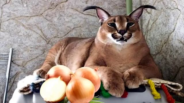 12 августа 2022 г. смотреть онлайн