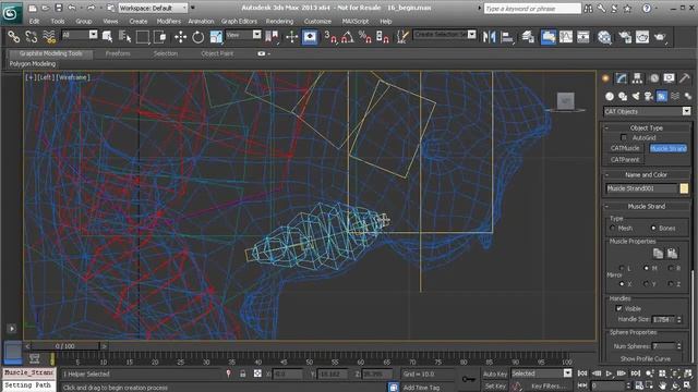 16_Working_with_CAT's_muscle_objects смотреть онлайн