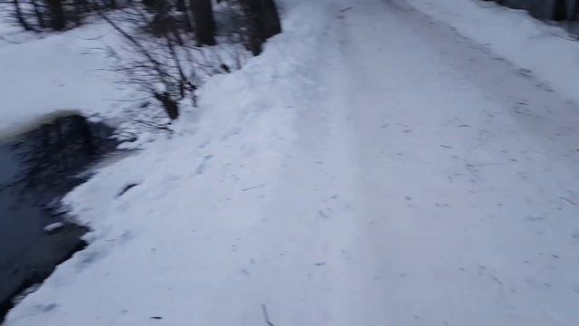 16.01.22 Комарово. Щучье озеро. смотреть онлайн