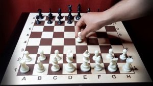 Шахматы с НУЛЯ. Уроки шахмат для начинающих. Шахматы для детей. Полный курс шахмат с начала. Урок 1