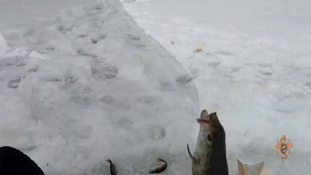 Рыбалка со льда, в первый день весны. Март 2021. смотреть онлайн