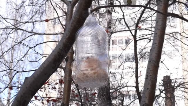 ... и доброе дело сделать! смотреть онлайн