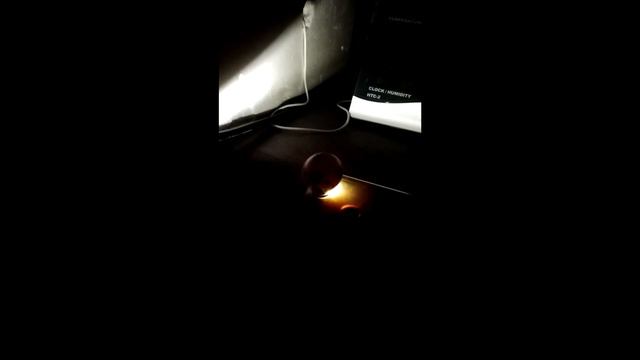 ЭКСПЕРИМЕНТ! Инкубация перепелов из магазинных яиц. Часть 1 смотреть онлайн