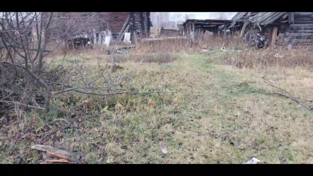 В деревню за мясом, Курганская область деревня Урюм. смотреть онлайн