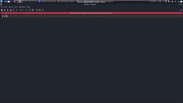 Damn Vulnerable Web Application (DVWA): CSP Bypass (Low, Medium, Hard) #120 смотреть онлайн