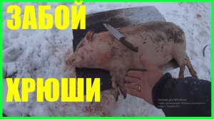 ЗАБОЙ ПРОСЁНКА ,еду на шабашку забивать маленькую белую свинью.