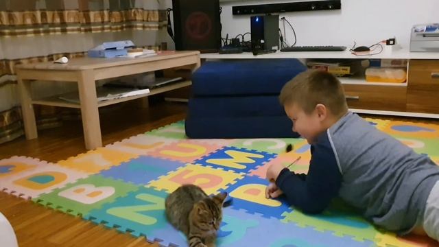 Подарок на новоселье, Котёнок - акробатка?? смотреть онлайн