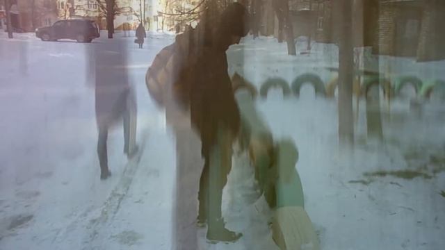 Коты и кошки. Уличная жизнь смотреть онлайн