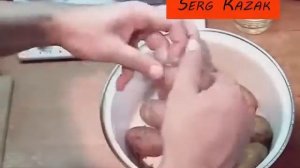 Рыба в духовке под сметанным соусом. Быстрый и вкусный рецепт рыбы приготовленной в духовке.