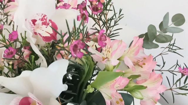 Орхидеи в коробке смотреть онлайн