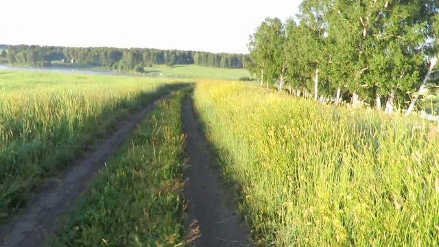У пруда(туман над водой)Пор-Искитим(Промышлёновский р-он) смотреть онлайн