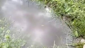 Как один мужик осушил участок