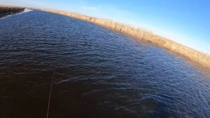 Я В ШОКЕ!!! СТОЛЬКО ЗА РАЗ Я ЕЩЁ НЕ ПОДНИМАЛ!!! УДАЧНОЕ ЗАКРЫТИЕ СЕЗОНА РЫБАЛКИ НА КАСТИНГОВУЮ СЕТЬ