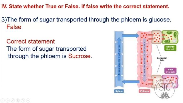 10 Science * Unit 14 * Book back questions * One words * II, III. IV and V смотреть онлайн
