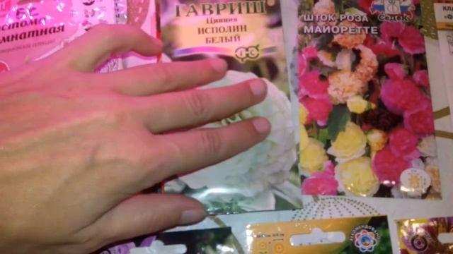 закупилась по полной семенами цветов на 2021 год ( ОБЗОР СЕМЯН ) смотреть онлайн