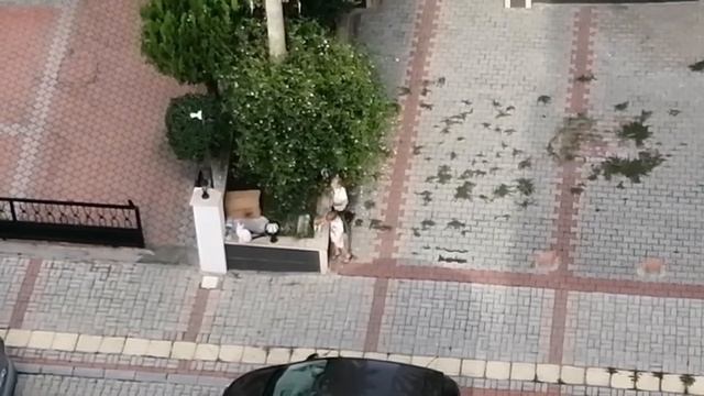 +27 5 НОЯБРЯ. ТУРЦИЯ 2023. смотреть онлайн