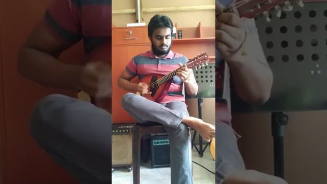 Tum paas aye (Mandolin cover)Ft Udit Narayan & Alka Yagnik смотреть онлайн