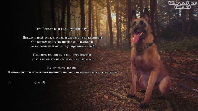 Blair Witch - #1 🎮 ОТПРАВИЛИСЬ НА ПОИСКИ смотреть онлайн