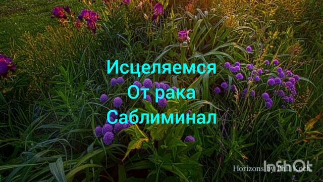 САБЛИМИНАЛ ДЛЯ ИСЦЕЛЕНИЯ РАКОВЫХ ЗАБОЛЕВАНИЙ смотреть онлайн