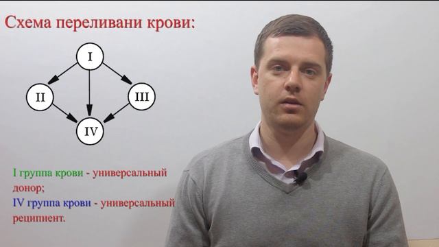 Лесные Друзья