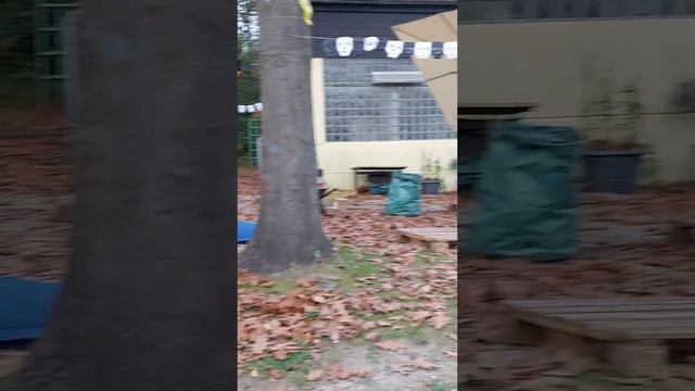 Поездка в хайм после Фридланда. Земля NRW, город Гельзенкирхен. Германия. Поздние переселенцы.