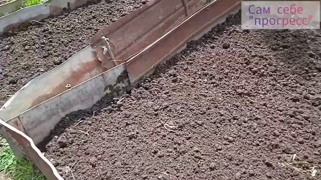 грядки под капусту (привожу в порядок, подготавливаю) смотреть онлайн