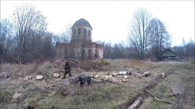 311015 031115 Жукопа смотреть онлайн