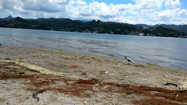 ASMR: Beach Sounds - No Talking смотреть онлайн