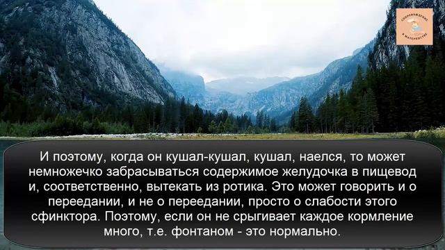 Признаки нехватки молока Наелся ли ребенок? Секрет 66 смотреть онлайн