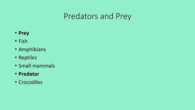 Prehistoric Facts Special #194: Pakicetus смотреть онлайн