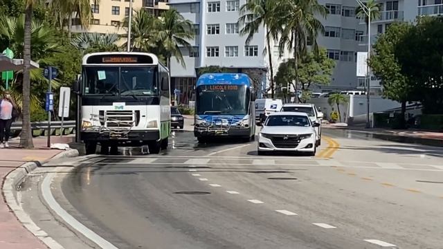 Прощальный ужин. Отпуск в Майами. День пятнадцатый. Город днём и ночью. смотреть онлайн