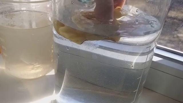 Янтарь,Лягушка за 30000 гривен, смотреть онлайн