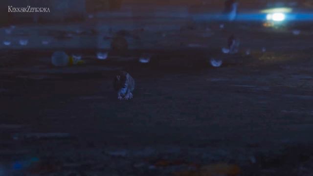 GTA 5 | Редактор Рокстар | Кот. Дорога домой смотреть онлайн