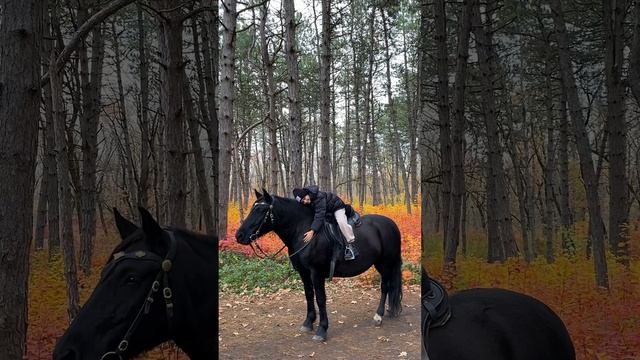 Золотая осень в Ростове-на-Дону #shorts