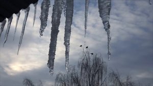 Весенняя капель 2 видео для монтажа