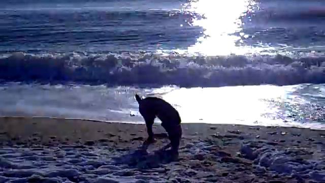 Утро 2 января 2011 года. Одесса. Море. Счастье. смотреть онлайн