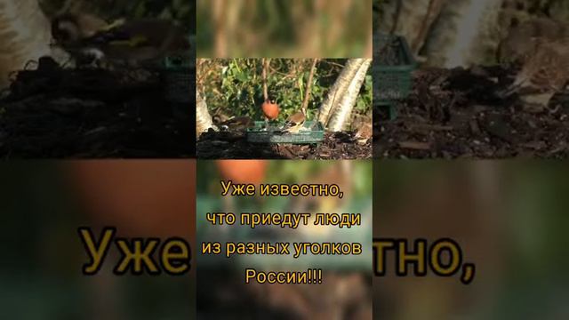 Выставка птиц в городе Аксай