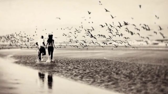 ЧИТАЕМ СТИХИ: Ирина Самарина "Тревожное сердце " смотреть онлайн