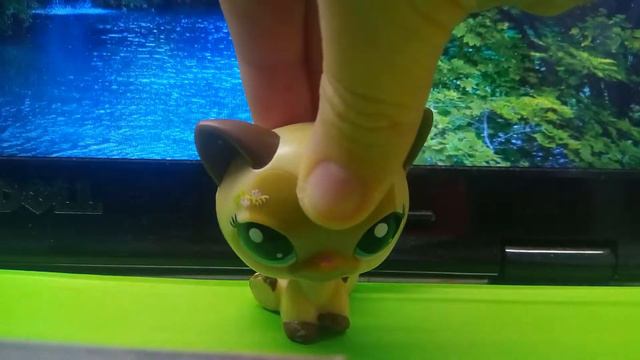 Проблема пони клипов не будет несколько дней☹ смотреть онлайн