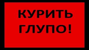 В чем заключается тупость курения?  Владимир Фахреев.