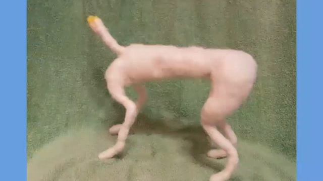 Needle Felted Dog Armature [The Process] смотреть онлайн