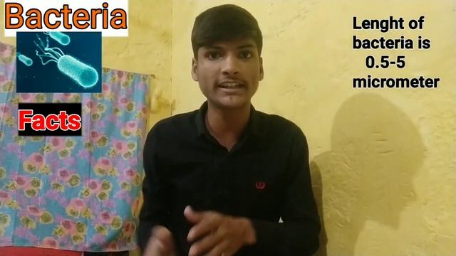 Bacteria Kya Hota Hai Kisne Discover Kiya Structure And Some Facts | Let's Question? It | Hindi |