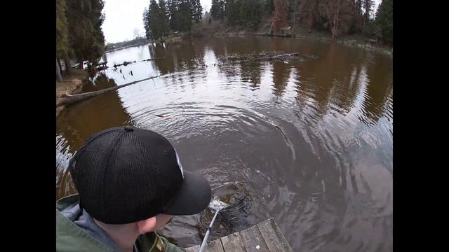 РЫБАЛКА НА ДУБЕШНЕ!!! ЛОВИМ С СЫНОМ ФОРЕЛЬ!!!! смотреть онлайн