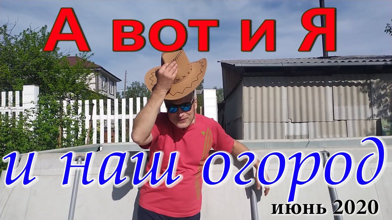 Обзор огорода июнь 2020. Есть всё, будет ещё больше.